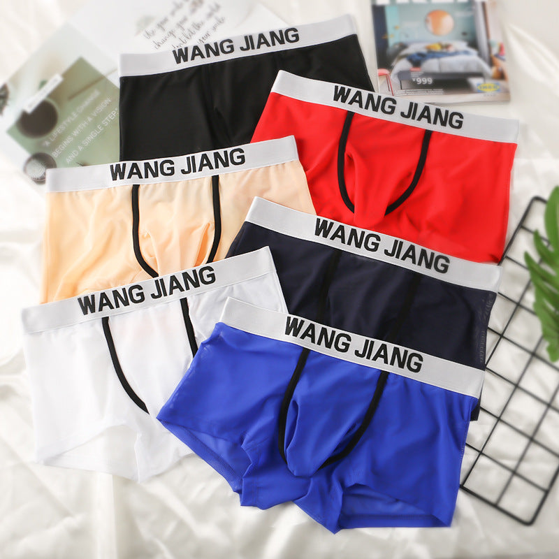 Men's See‑Through Mesh Pouch Underwear, Bullet Separation Design Elephant Trunk Boxer Briefs, Sexy Support Pouch Trunks for Men