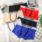 Men's See‑Through Mesh Pouch Underwear, Bullet Separation Design Elephant Trunk Boxer Briefs, Sexy Support Pouch Trunks for Men