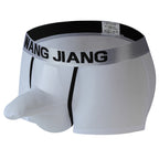 Men's See‑Through Mesh Pouch Underwear, Bullet Separation Design Elephant Trunk Boxer Briefs, Sexy Support Pouch Trunks for Men