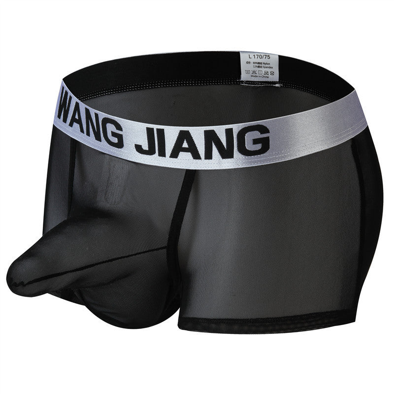 Men's See‑Through Mesh Pouch Underwear, Bullet Separation Design Elephant Trunk Boxer Briefs, Sexy Support Pouch Trunks for Men