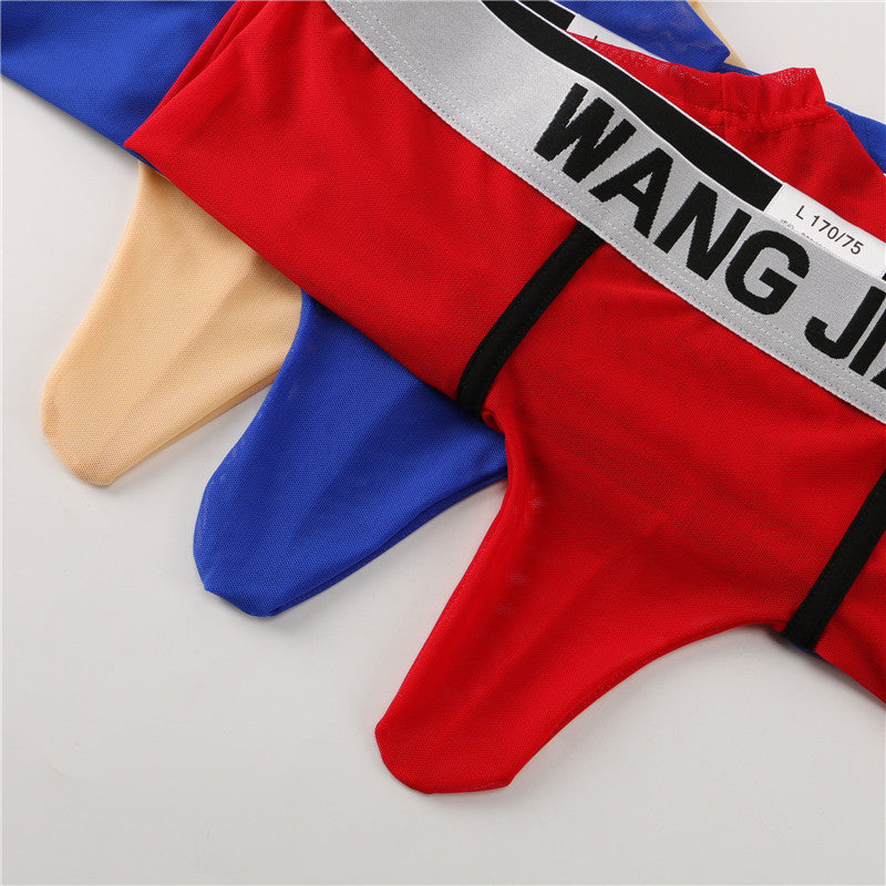 Men's See‑Through Mesh Pouch Underwear, Bullet Separation Design Elephant Trunk Boxer Briefs, Sexy Support Pouch Trunks for Men