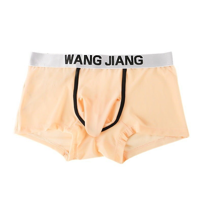 Men's See‑Through Mesh Pouch Underwear, Bullet Separation Design Elephant Trunk Boxer Briefs, Sexy Support Pouch Trunks for Men